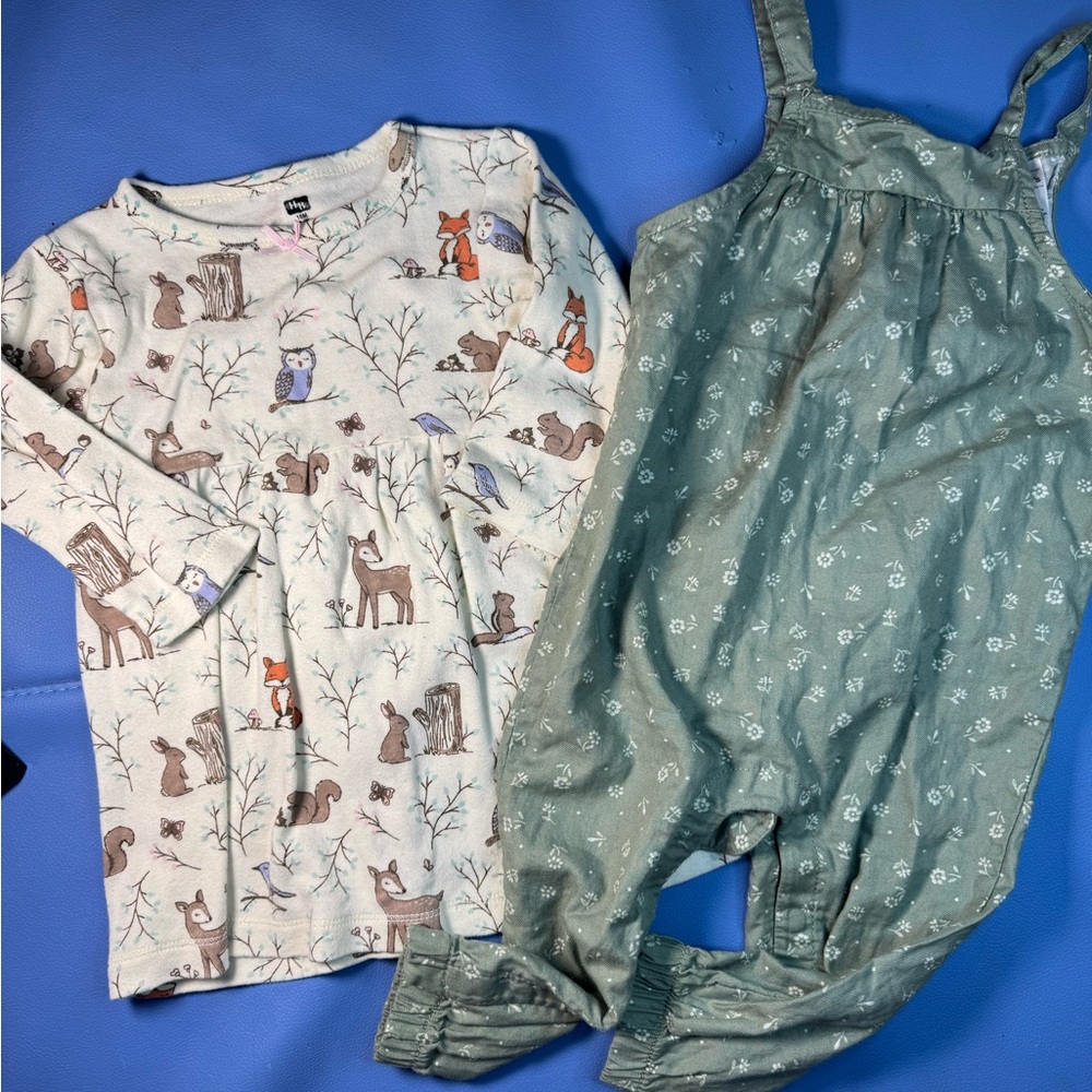 18M 2pcs Woodland Animals & Fall floral winter dress and overalls. Carter’s & HB